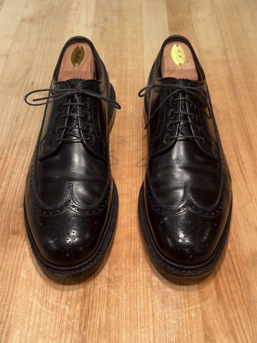 Alden Long Wing Blucher in Black Calfskin 10.5 (9753)